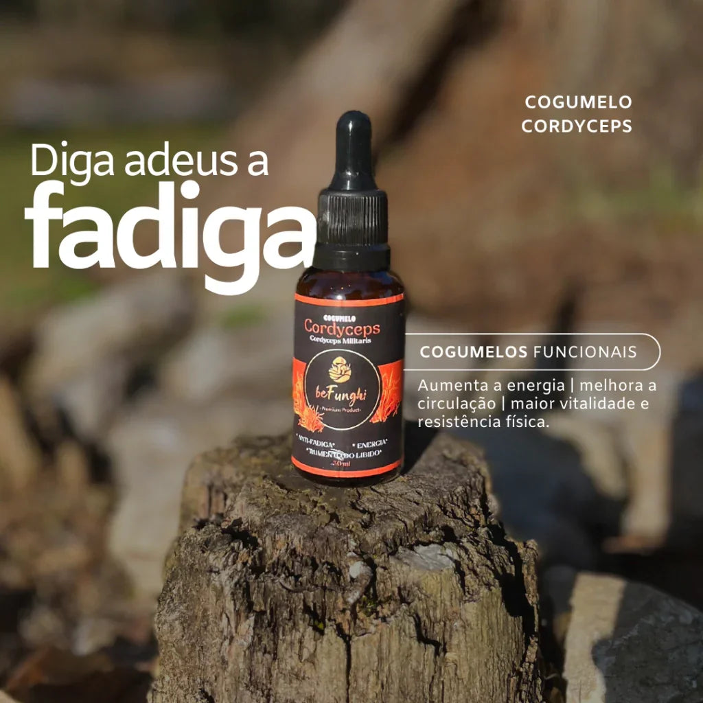 TRANQUILIDADE | ENERGIA NATURAL | FOCO - Reishi, Cordyceps e Juba de Leão - 60ml