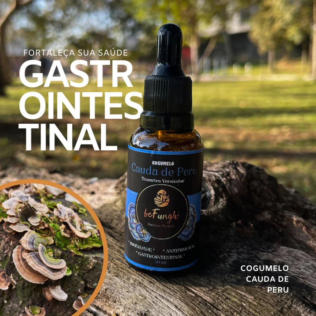 Kit 4 Extratos – Juba de Leão + Reishi + Cauda de Peru + Chaga | Rotina Completa de Bem-Estar