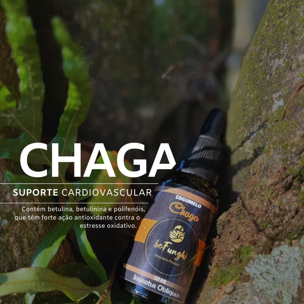 Extrato de Cogumelo Chaga | Inonotus Obliquus 30ml