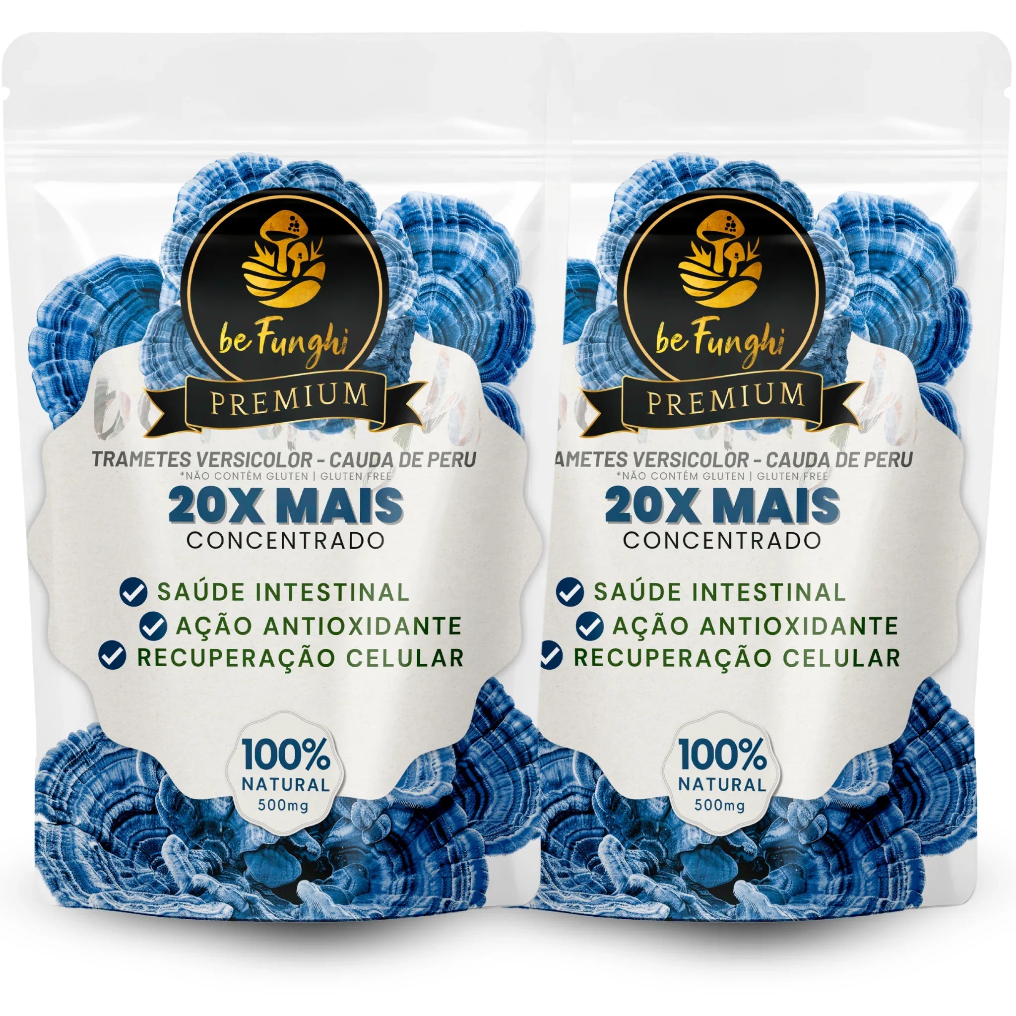 Extrato Concentrado Trametes Versicolor 90 Capsulas - Fortalecimento Imunológico, Proteção Celular e Equilíbrio do Corpo