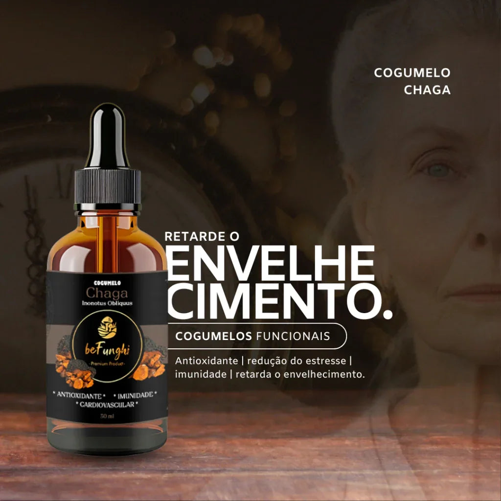 Extrato de Cogumelo Chaga | Inonotus Obliquus 30ml